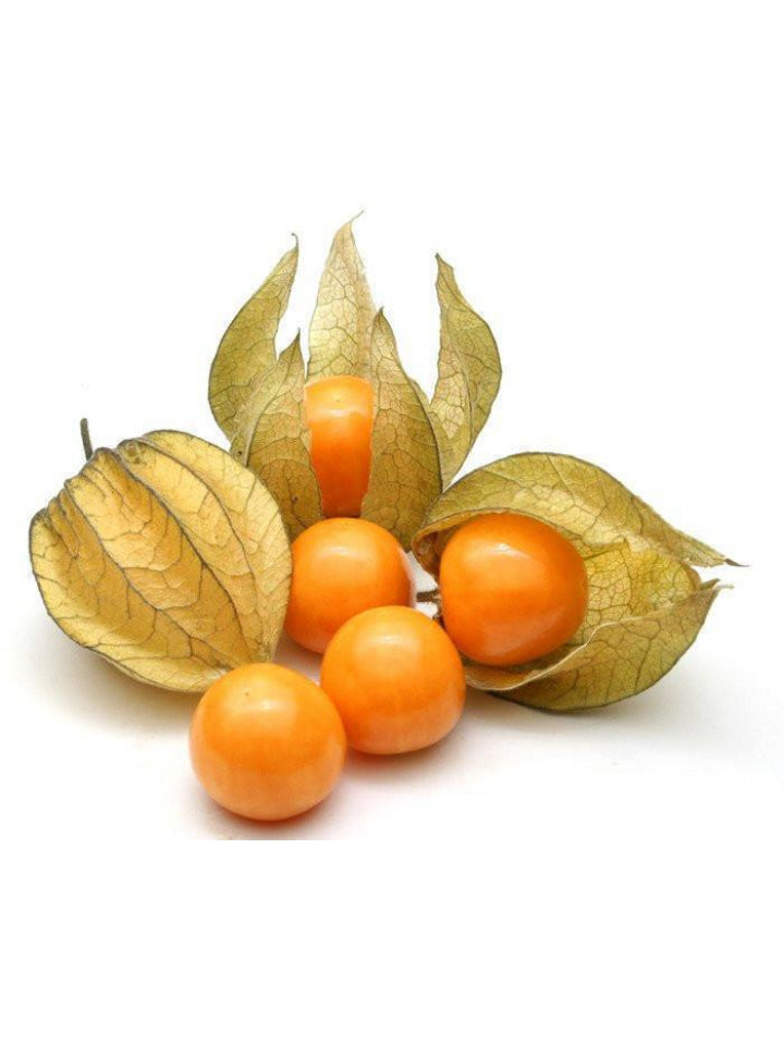 Physalis (Kolumbia)
